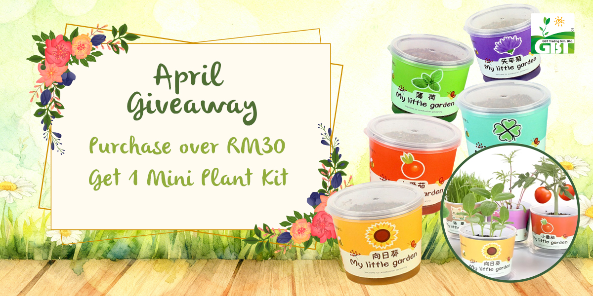 Home 1 free mini plant kit