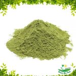 premium matcha powder
