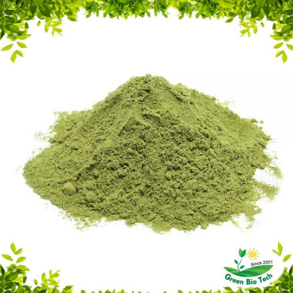 premium matcha powder